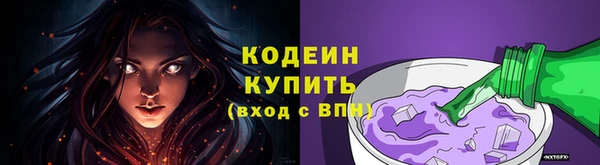 индика Кадников