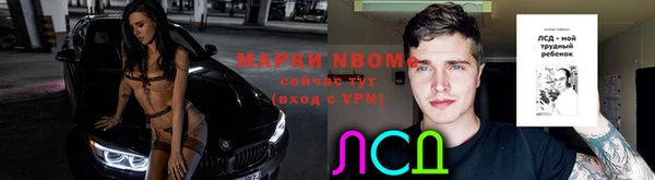 индика Кадников