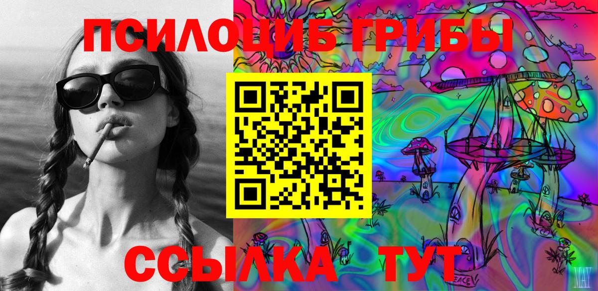 Галлюциногенные грибы Psilocybe Бирск