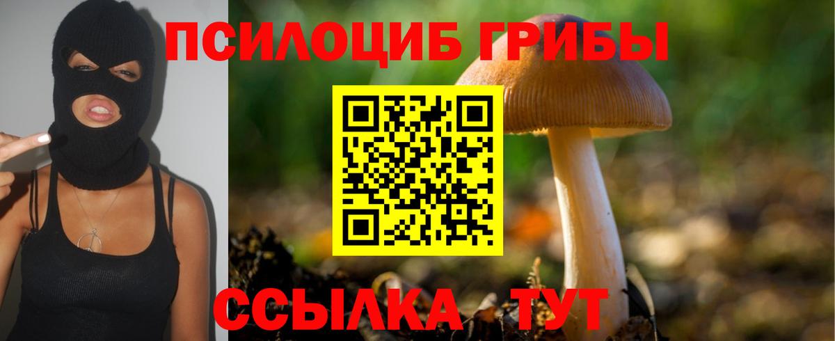 Галлюциногенные грибы GOLDEN TEACHER  закладки  Вход с VPN  Бирск  Псилоцибиновые грибы мухоморы 